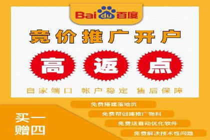 成功案例解析：百度推广代理商助力企业增长